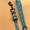 Pack Paseo Premium Love Bug- Wild Tails Co.