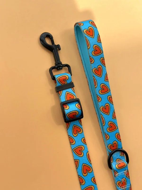 Pack Paseo Premium Love Bug- Wild Tails Co.