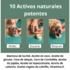 Bálsamo reparador para Almohadillas y Trufa - Perro y Gato - 50 ml
