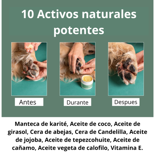 Bálsamo reparador para Almohadillas y Trufa - Perro y Gato - 50 ml