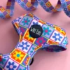 Pack Paseo Premium Flower Power - Wild Tails Co.