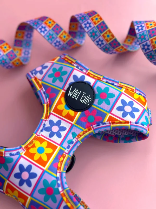 Pack Paseo Premium Flower Power - Wild Tails Co.