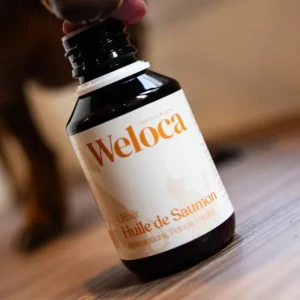 Aceite de salmón Premium - Perro y Gato - 100 ml