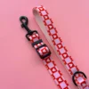 Pack Paseo Premium  Love Letters - Wild Tails Co.
