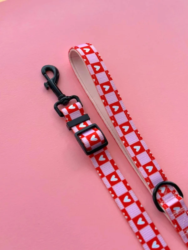 Pack Paseo Premium  Love Letters - Wild Tails Co.