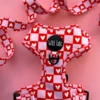 Pack Paseo Premium  Love Letters - Wild Tails Co.
