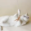 Juguete para Gatos | Pez Dorado con Catnip y Plumas