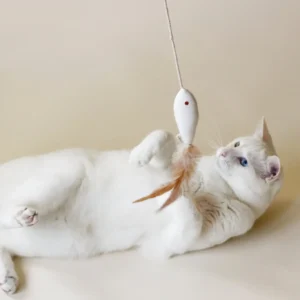 Juguete para Gatos | Pez Dorado con Catnip y Plumas