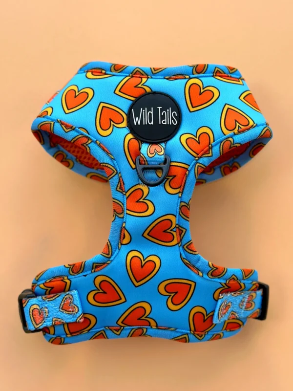 Pack Paseo Premium Love Bug- Wild Tails Co.