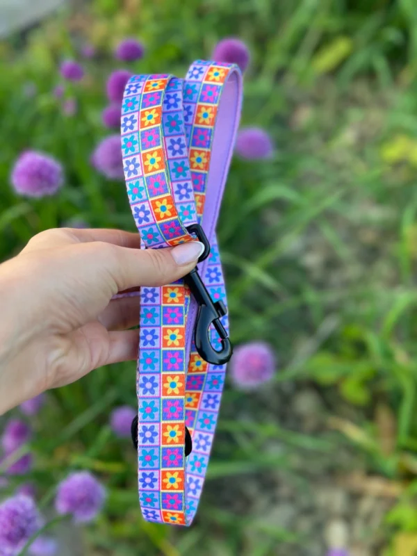 Pack Paseo Premium Flower Power - Wild Tails Co.