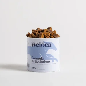 Suplemento Articular para perros | Condroprotectores | 120 masticables