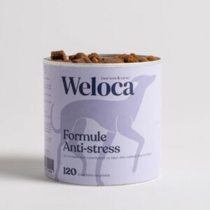Suplemento Antiestrés y Relajante para perros | 120 premios masticables