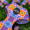 Pack Paseo Premium Flower Power - Wild Tails Co.