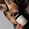 Aceite de salmón Premium - Perro y Gato - 100 ml