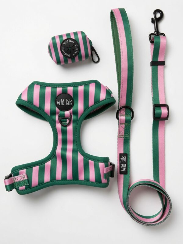 Pack Paseo Premium All Decked Out - Wild Tails Co.