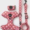 Pack Paseo Premium  Love Letters - Wild Tails Co.