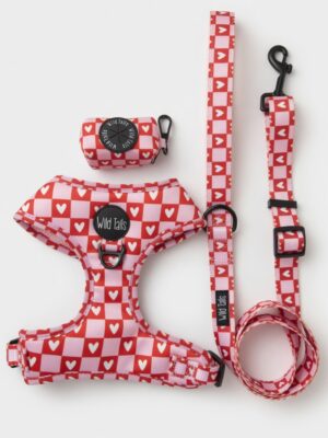 Pack Paseo Premium  Love Letters - Wild Tails Co.