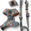 Pack Paseo Premium Love Bug- Wild Tails Co.