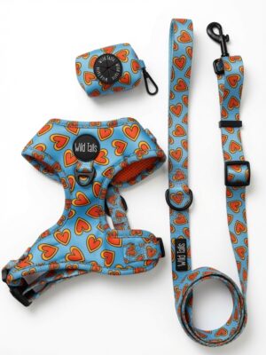 Pack Paseo Premium Love Bug- Wild Tails Co.