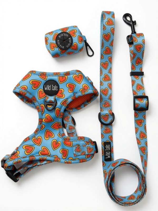 Pack Paseo Premium Love Bug- Wild Tails Co.