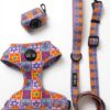 Pack Paseo Premium Flower Power - Wild Tails Co.